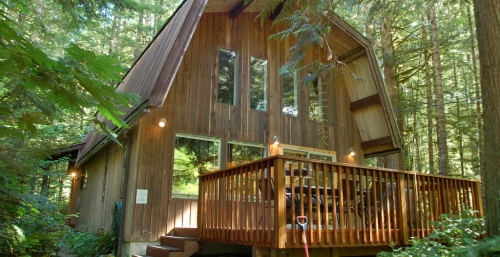 Cabin 8 Vacation Rental